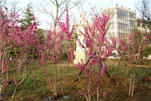 校园一角 很多澳门永利注册优惠活动家长对于澳门
