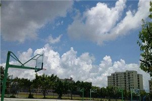 校园一角 相关阅读以往数据表明中职澳门永利注册