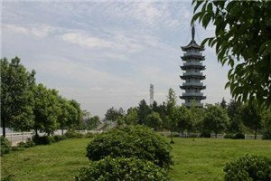 校园一角 专门整理了以下内容