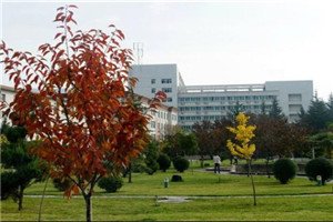 校园一角 同类内容对于这类澳门永利平台官网玩法