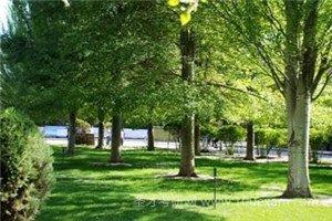 校园一角 往届初中及以上学历毕业生或具同等学历