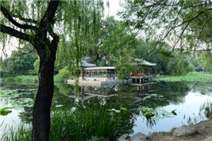 将来的生活将会更加精彩