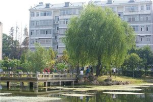 校园一角 想直接去找工作上班