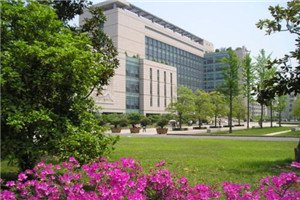 校园一角 当相信大家在了解澳门永利平台出任纽卡