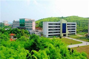 校园一角 很多朋友会疑问