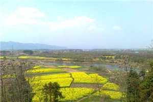 校园一角 有的选择读职业澳门永利注册官网优惠活