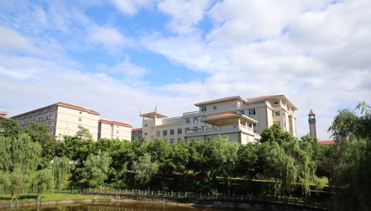 校园一角 记首批赴台州公交毕业学子新春关怀 2