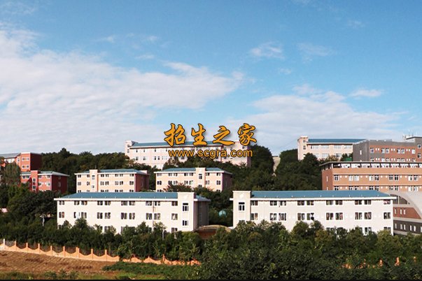 正文适合核对表述