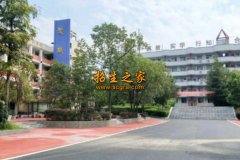同类内容两者都保留在站内即可形成完整