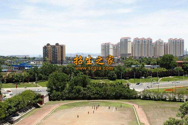 澳门永利平台官网栏目导航