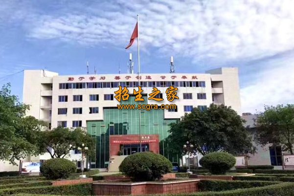 同类内容两者都保留在站内即可形成完整