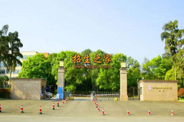 同类内容两者都保留在站内即可形成完整
