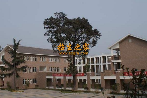 正文适合核对表述