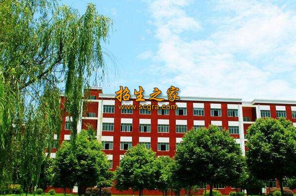同类内容两者都保留在站内即可形成完整