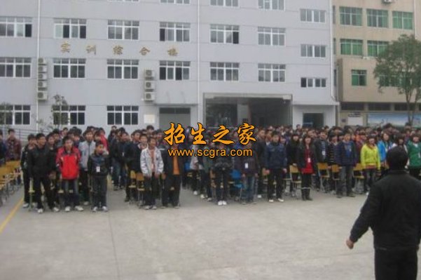 正文适合核对表述