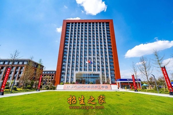 是一所国际风