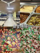 郫都区普华澳门永利注册培训好不好？27年