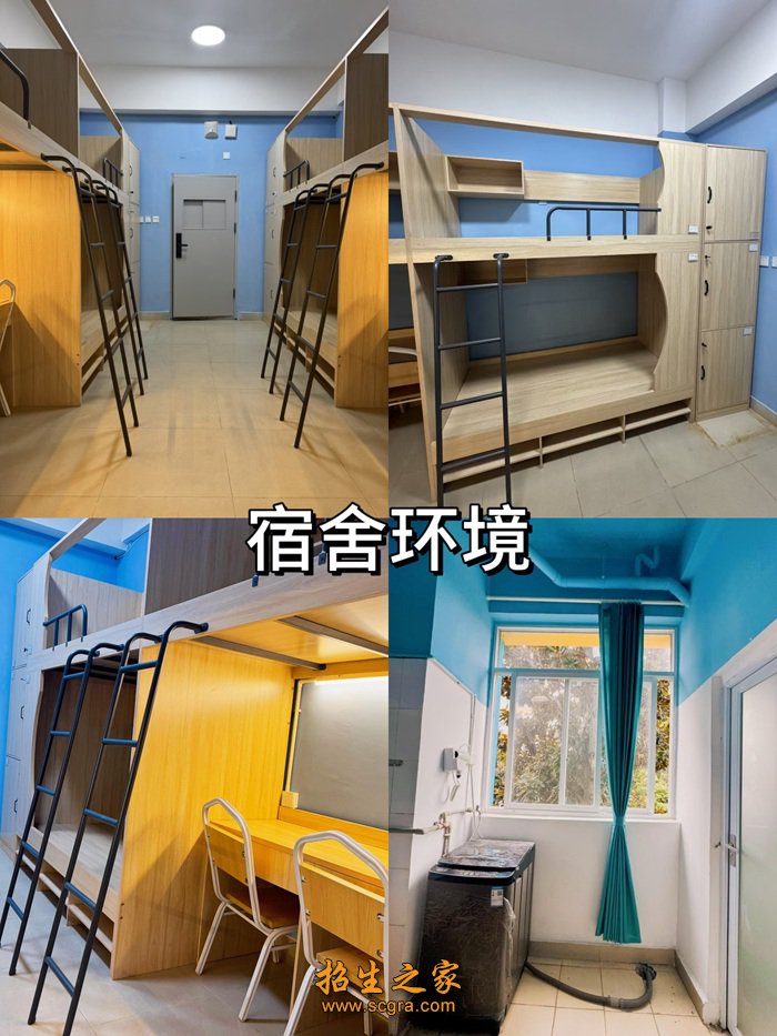 校区内未有任何其他学艺术或体育类澳门